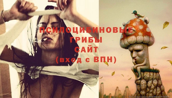 стаф Бугульма