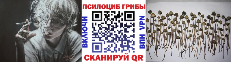 Галлюциногенные грибы MAGIC MUSHROOMS  Купить где  Георгиевск 